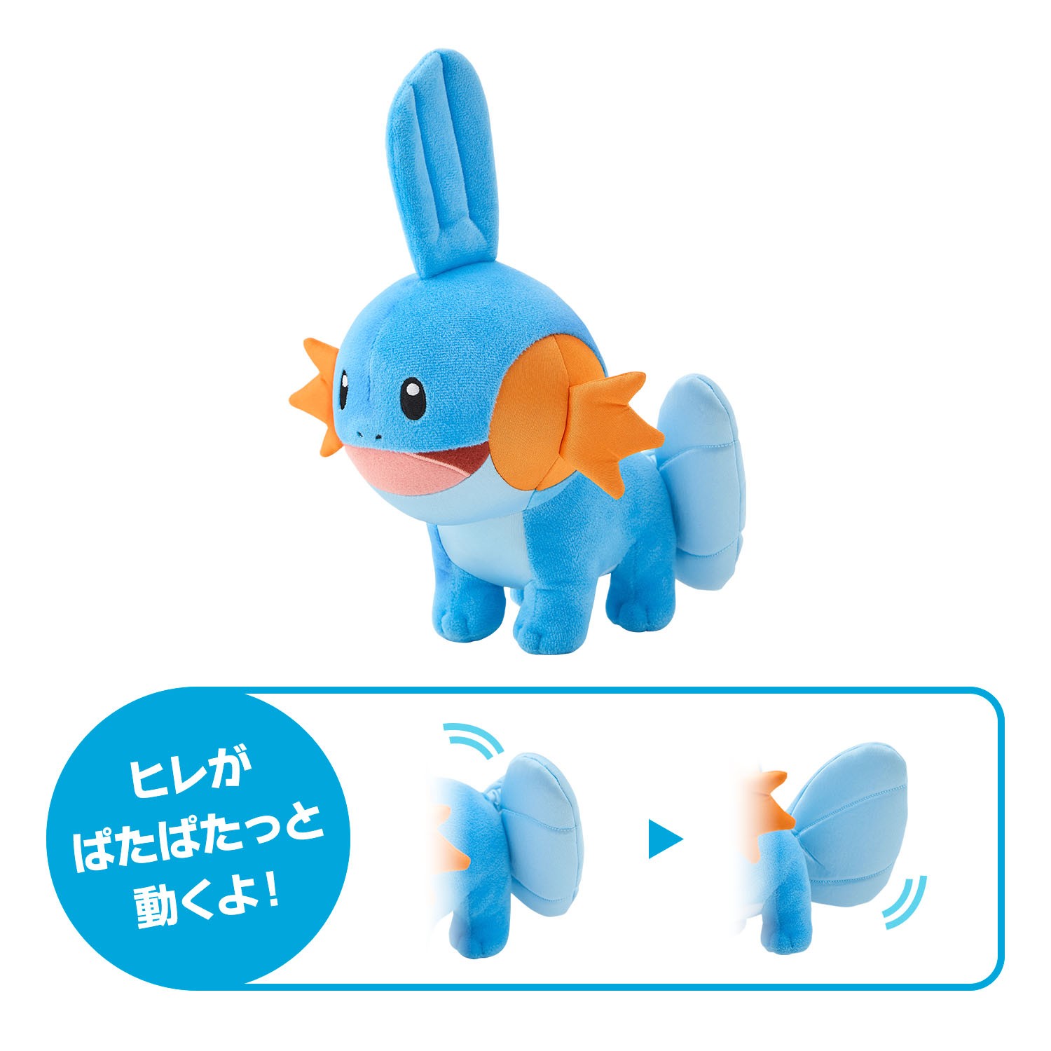 ミズゴロウ