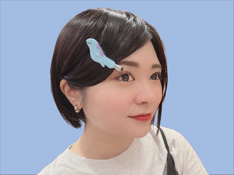 ポケモン　ヘアクリップ　第2弾